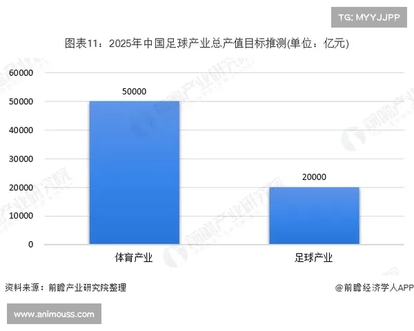 足球球员转会市场动态分析及未来发展趋势探讨 足球球员转会市场动态分析及未来发展趋势探讨