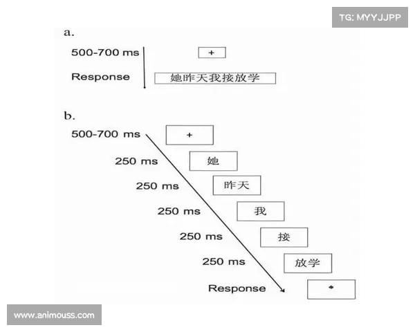 赛后恢复的关键策略与科学方法探析促进运动员身体与心理双重恢复 赛后恢复的关键策略与科学方法探析促进运动员身体与心理双重恢复
